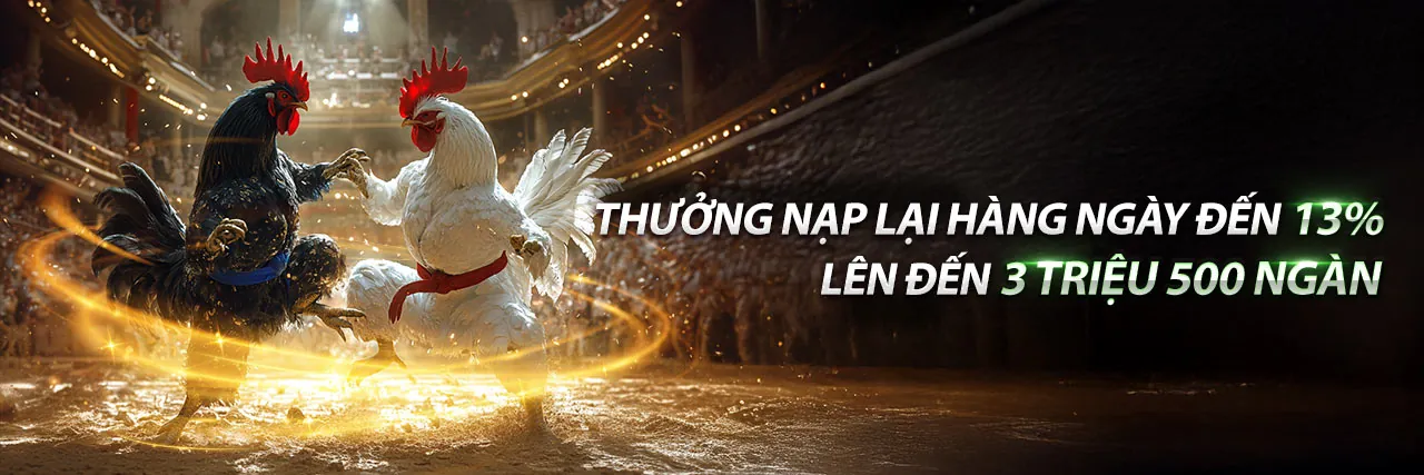 Tin tức và khuyến mãi mới nhất từ RG88 Casino
